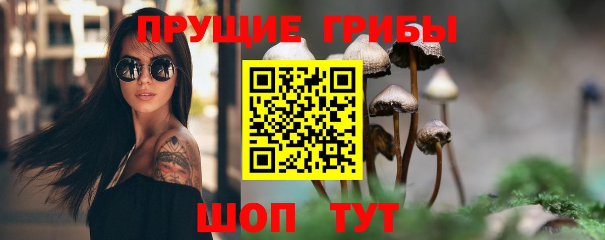 Галлюциногенные грибы Psilocybine cubensis Ликино-Дулёво